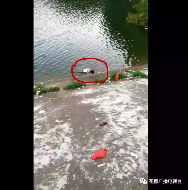 【惊悚】水库浮尸!他杀,自杀还是游泳溺水身亡?