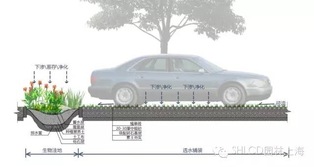 生态停车场大受欢迎，我们一起学起来!_搜狐科技_搜狐网