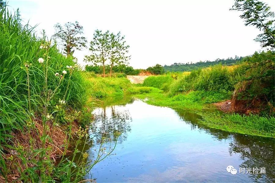 散文李锁怀家乡的雍水河