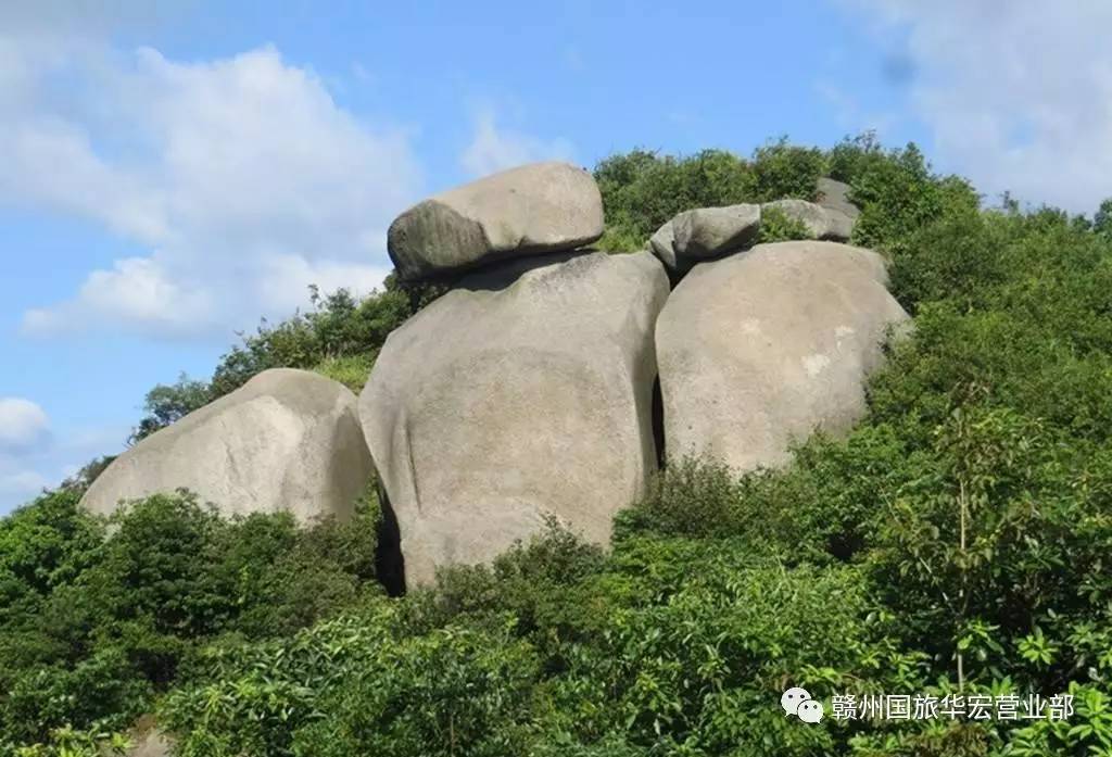 南康大山脑森林公园区位优越,交通便利,距南康城区仅17公里,距赣州市