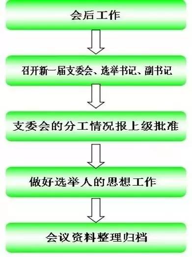 学习党支部委员会换届选举程序流程图