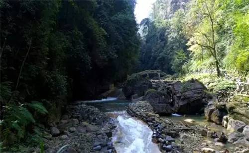 冷水河自然保护区奇峰险峻,溪流清澈,植被繁茂 返回搜