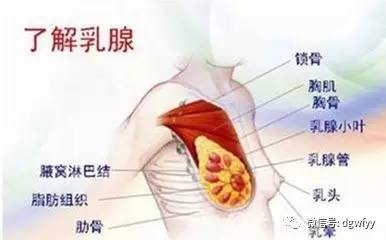 4,正确面对乳腺增生的现状:由于乳腺增生病患者中的年龄较大,病史较