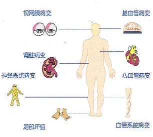 基本公共衛生服務 管理糖尿病患者健康 科技 第7張