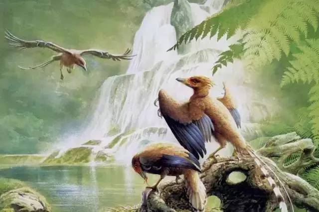 世界上最早出现角质喙的古鸟类——圣贤孔子鸟