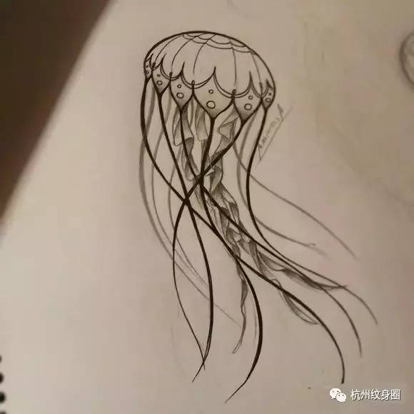 tattoo | 纹身素材:水下精灵 水母