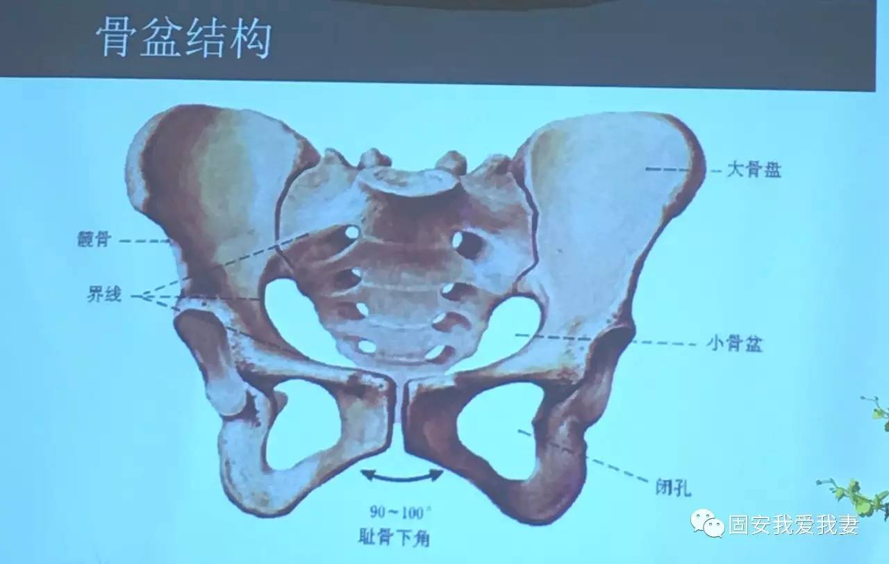 宝妈们惊喜来了徒手整形骨盆修复让您变成最美的自己