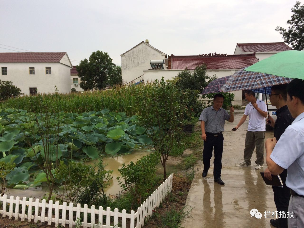 栏杆集镇美丽乡村迎来巢湖市检查组"初考验"