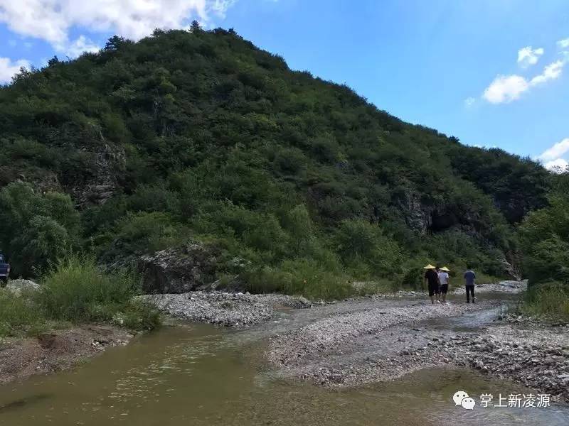 凌源河坎子乡向阳花海惊艳亮相真是太美了为美丽家乡感到骄傲