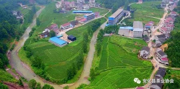 冷市镇境内山青水秀,雨量充沛,土壤肥沃,是种茶的圣地.