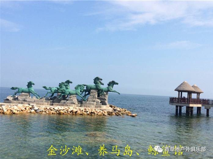 【恋上烟台】金沙滩,养马岛,鲸鲨馆,购海鲜梦幻2日游升级版