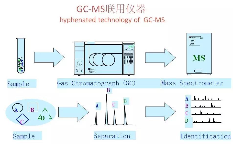 测试干货|色谱-质谱联用技术及其应用详解