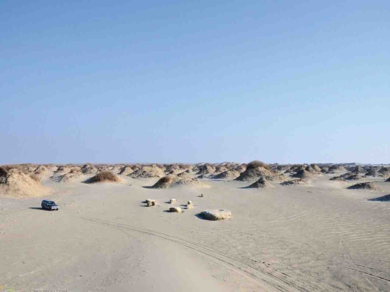 峡城人口_东汇城超市人口图片