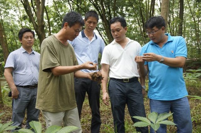 热线丨金平县人民政府:就金平县招商引资等方面的话题