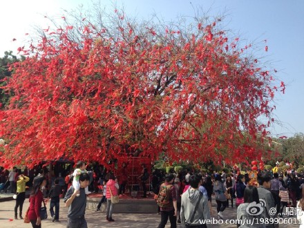 把握桃花运红鸾星抓紧你的姻缘