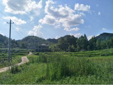 读花听草花园生活院 周家大院位于利川旗杆的凉水井 这里曾经是周边