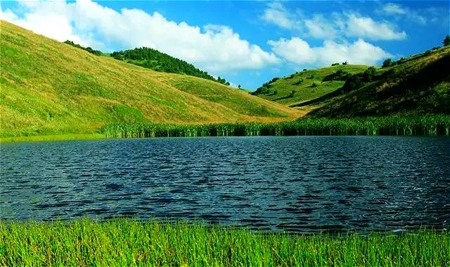 被当地人俗称为"神田"的高山湖泊,像一面镶嵌在草原上的镜子,倒映着