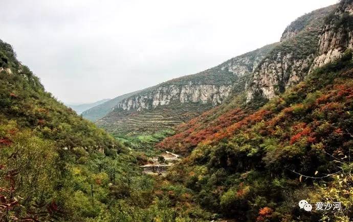 沙河大安山又称马鞍山满山红叶似彩霞你知道吗