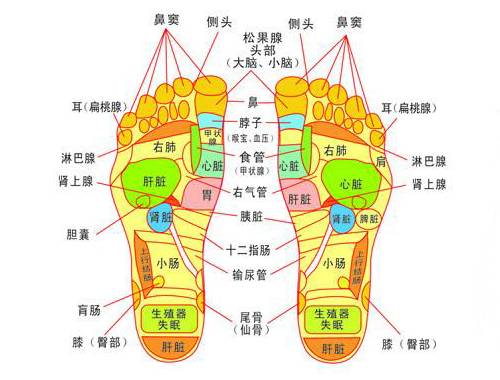 "上病取下,百病治足"一病一绝招(图解)