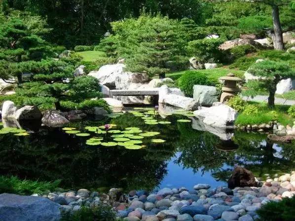 史上最全的水景植物配置技巧