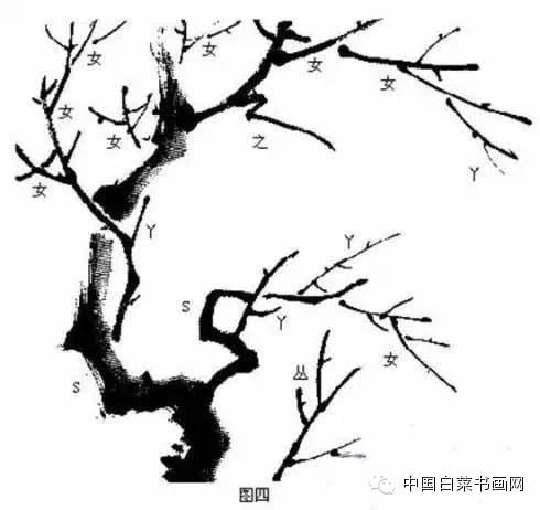 梅花枝干手绘