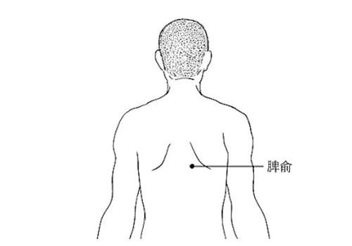 内分泌失调是什么原理_内分泌失调有什么症状(3)