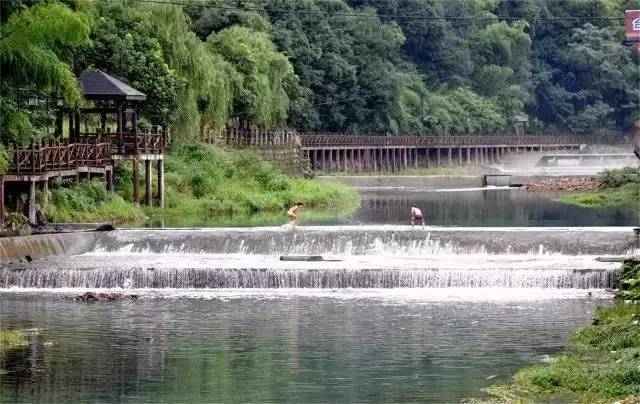 【汇丰分享】谁说萧山只有湘湖?花海,竹林,古道……她