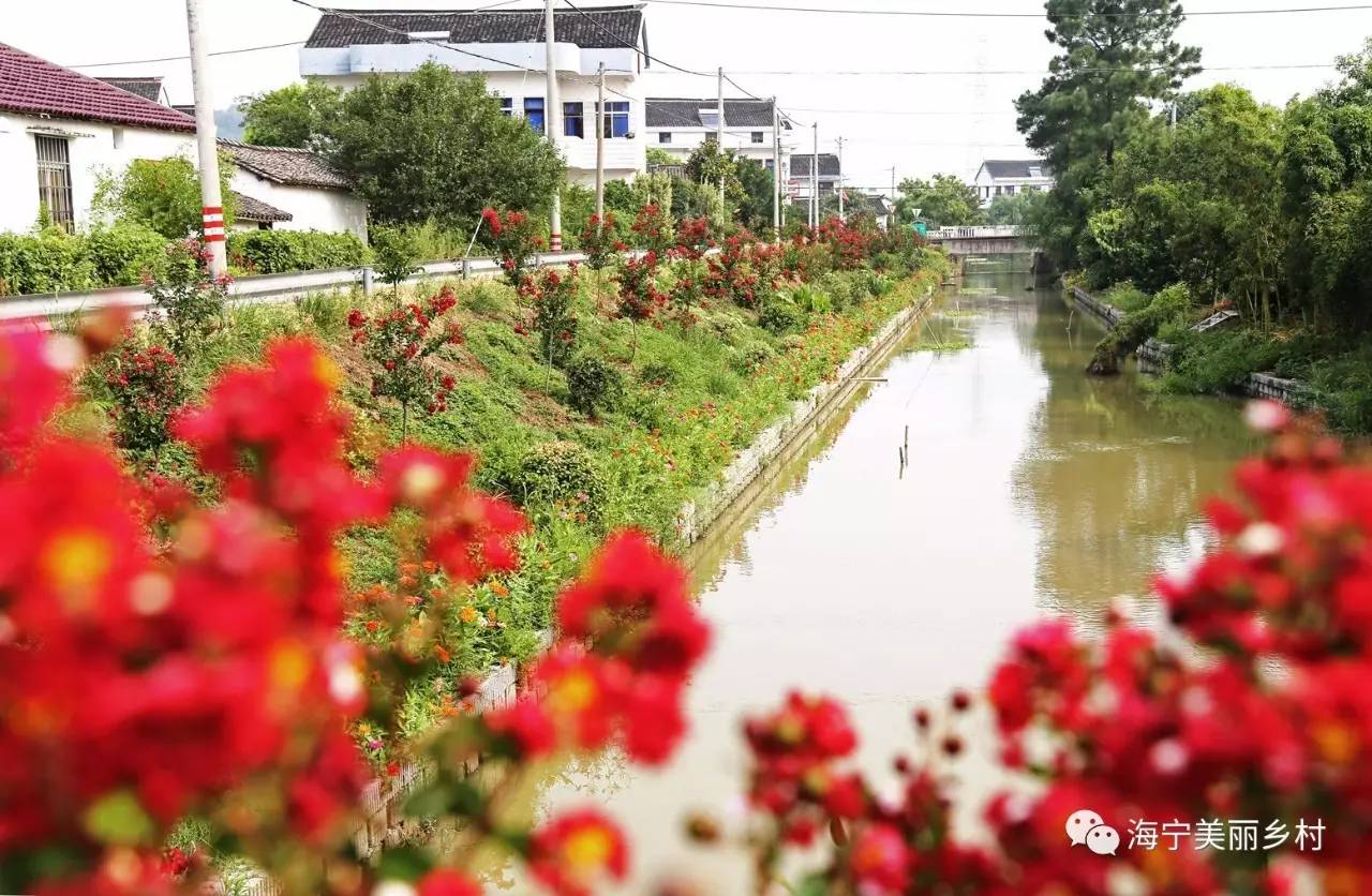 黄湾镇尖山村有一条小河叫黄河支浜,长度虽然只有400来米,但被治理得