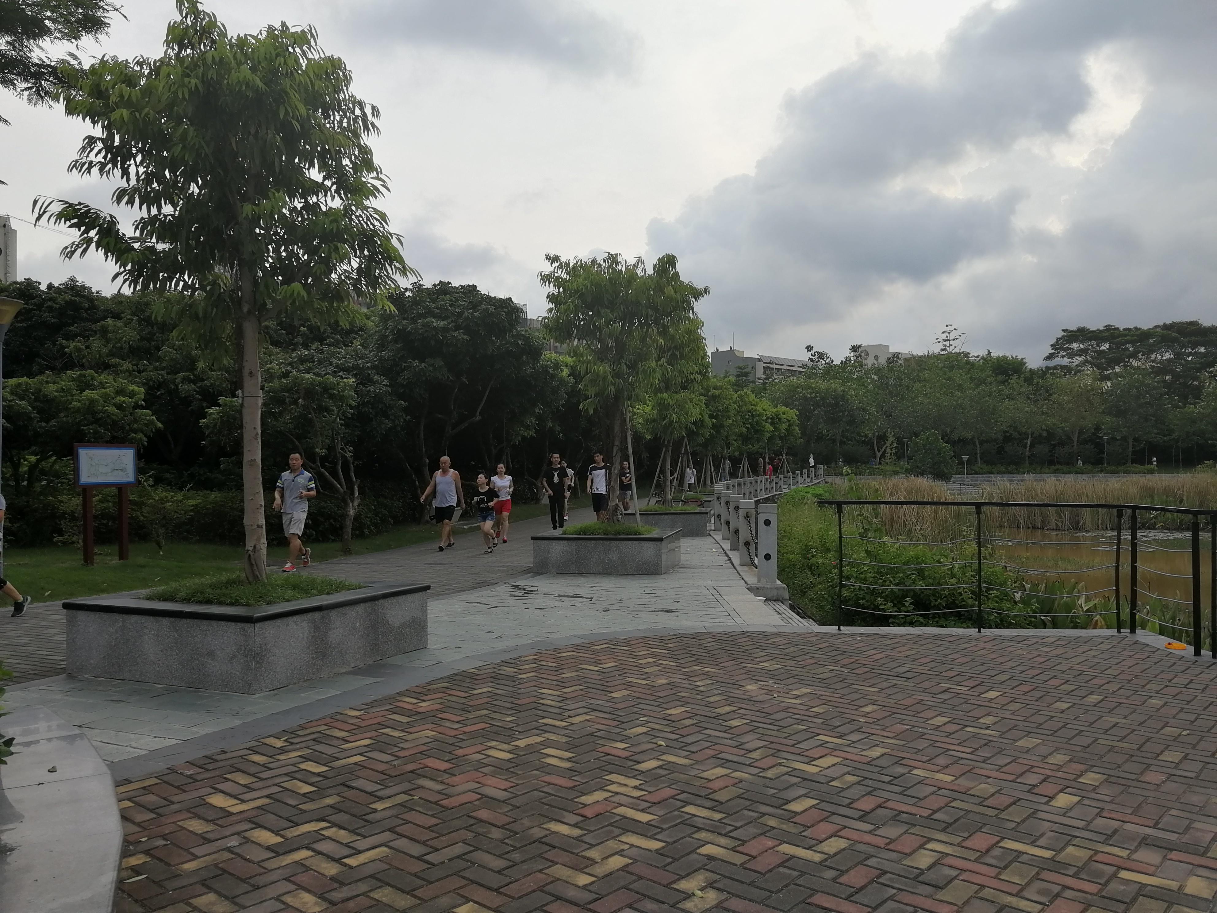 早上晨跑于深圳小公园,公园虽小却五脏俱全