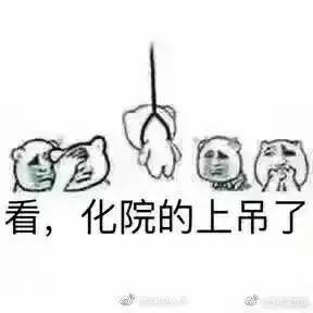 用一个表情包形容一下你的专业