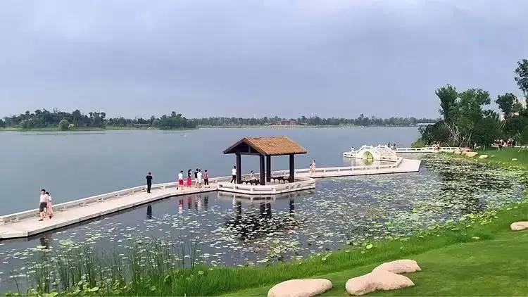 凤凰湖是浙江省桐乡市的一个人工湖,位于振东新区,湖域面积约900亩