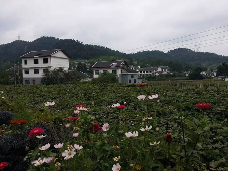 安顺市西秀区大西桥镇下九溪村