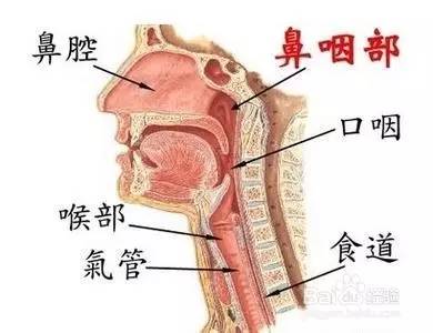 鼻咽癌早期的症状