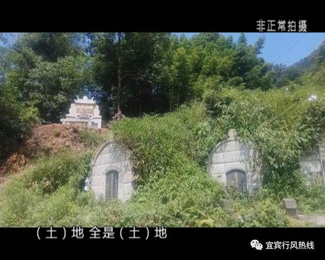 沙湾多少人口_沙湾古镇图片(3)