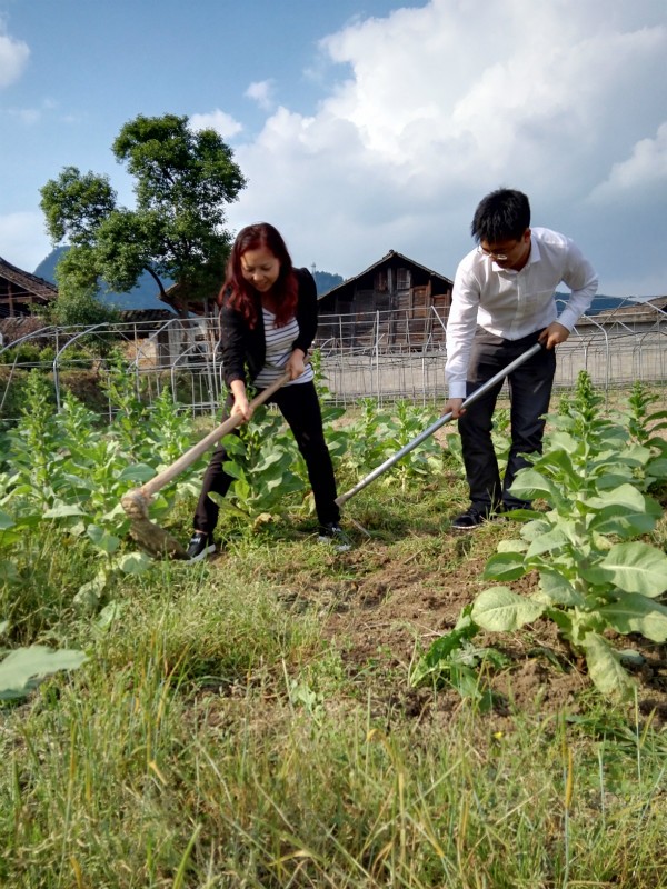 黔南多少人口_黔南民族师范学院