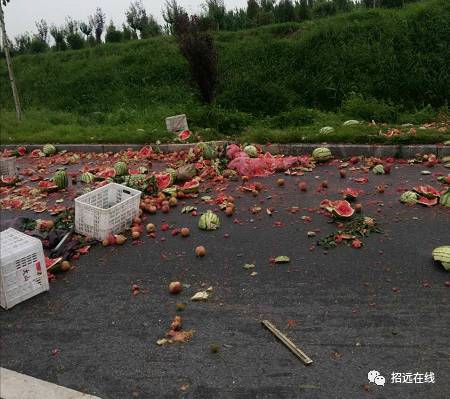 招远215省道一辆货车撞上路边大树,驾驶室损坏严重,西瓜摔满地.