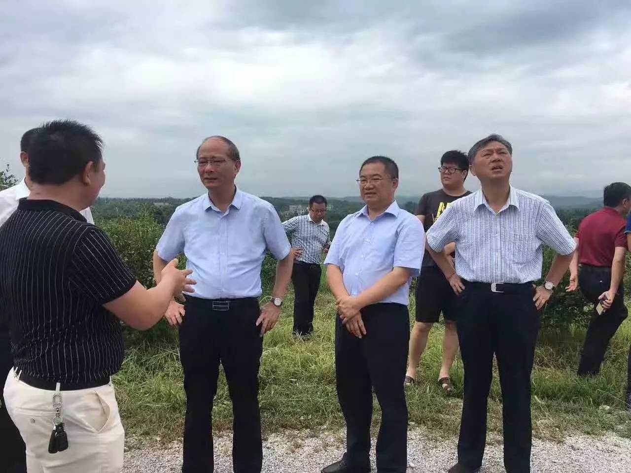 快讯江西省副省长吴晓军考察正邦宜丰油茶基地