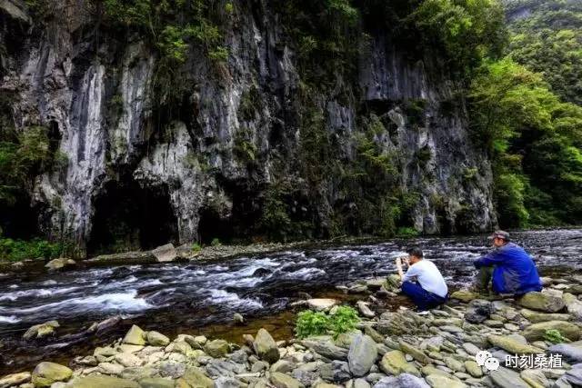 桑植美丽乡村:世外桃源·沙洲村