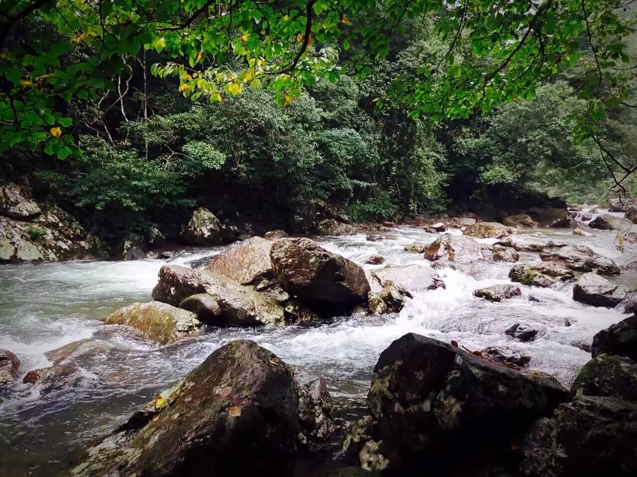 【关注】你不知道的东江源头 — 三百山