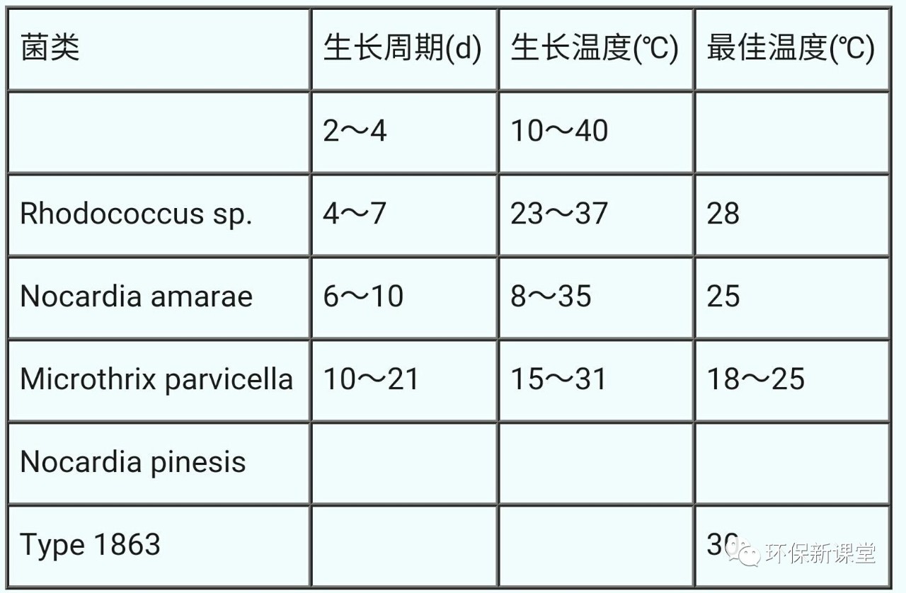 泡泡的原理是什么_泡泡玛特是什么东西