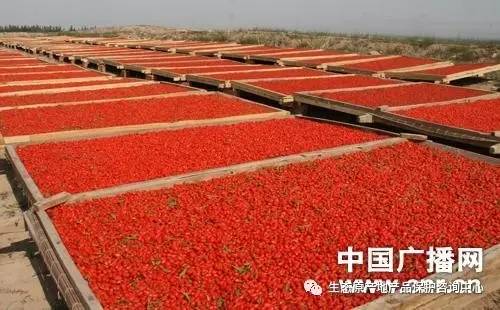 中宁枸杞率先获得生态原产地如虎添翼