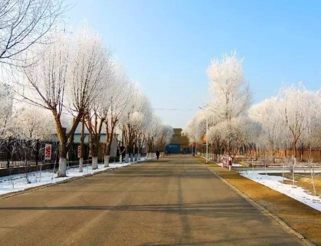 冬季的焉耆县