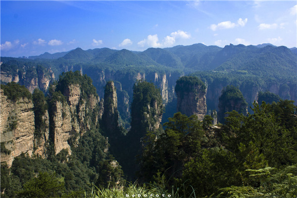 张家界旅游怎样安排好 找正规导游纯玩