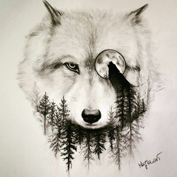 狼或许是动物界最具生命力,最具野性,桀骜不驯的孤独的狼狼与山野融