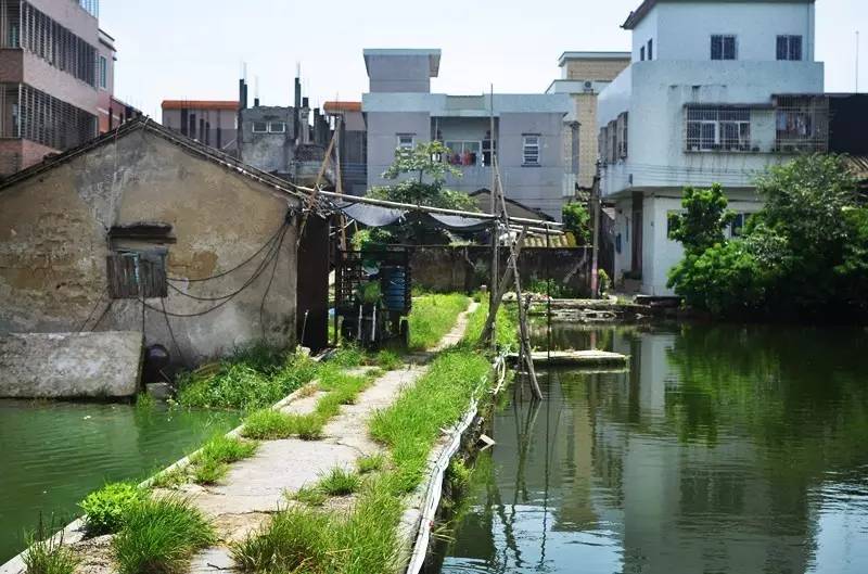 全国最大的村人口最多_飞 到湖北的河南南阳小村庄