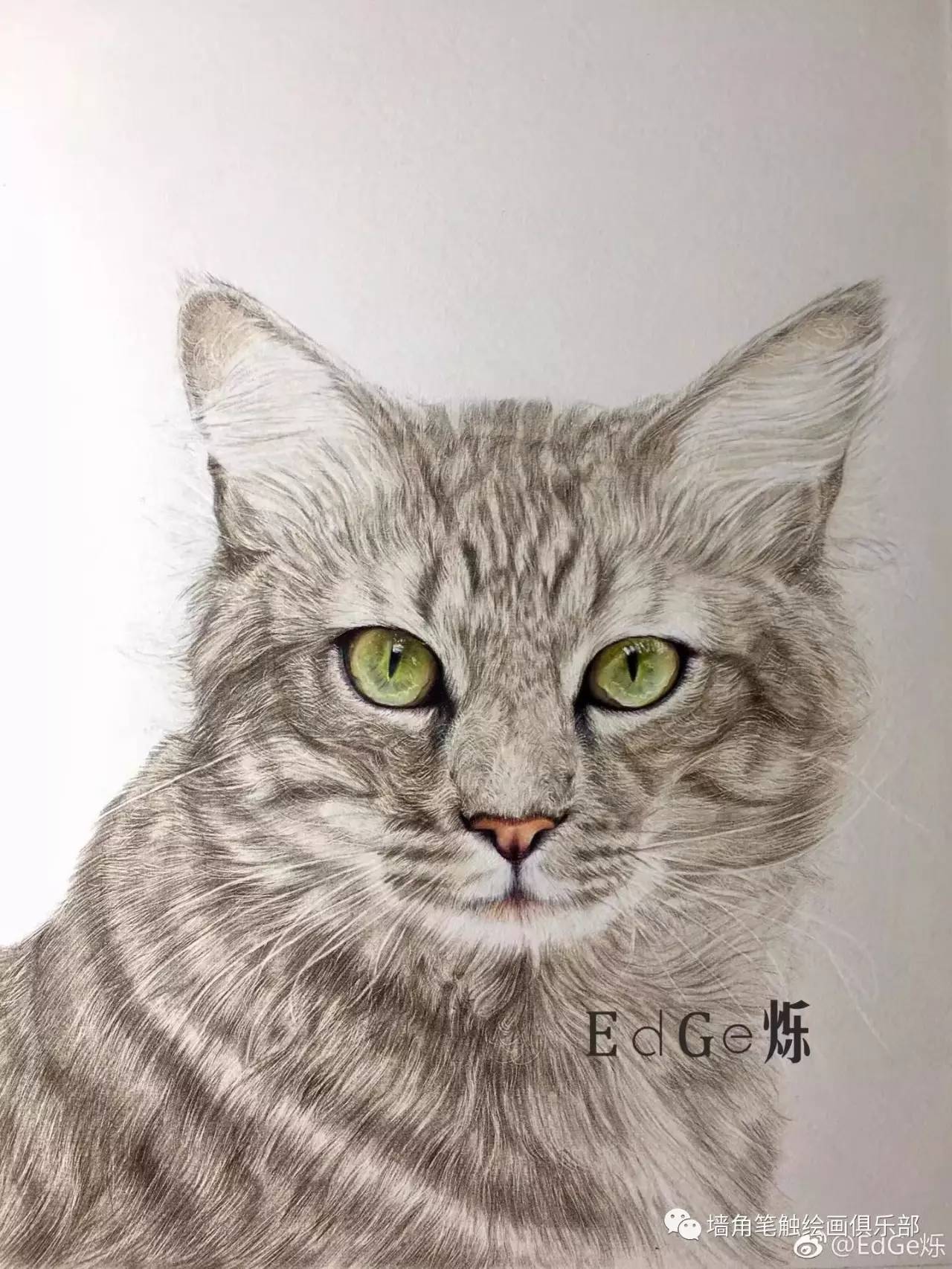 3.把猫咪鼻子画出来,整体明暗交界线加深为下一步上色做准备.