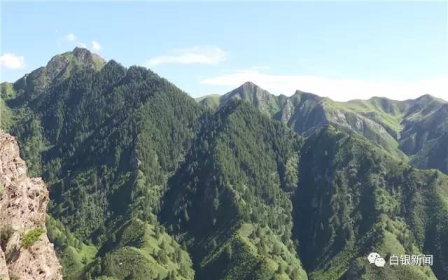 坚守金山十多年时间家在靖远哈思山自然保护区的石羊已经有1000多只了