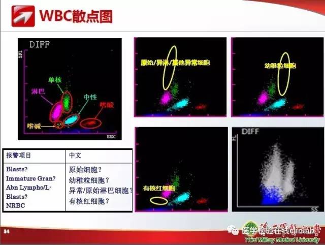 血常规检验中的质量控制