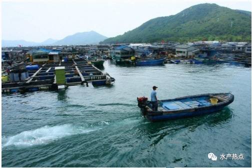 海南陵水渔排及渔排餐厅因环保问题被投诉,污