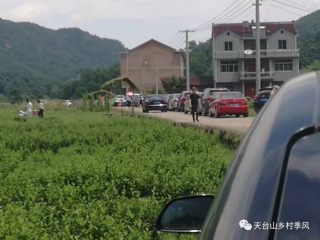 当天,浙江省天台县三州乡柘溪村沸腾了,西瓜节吸引了许多游客,周围